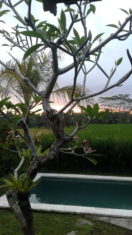 Thani Villa Ubud Exterior photo